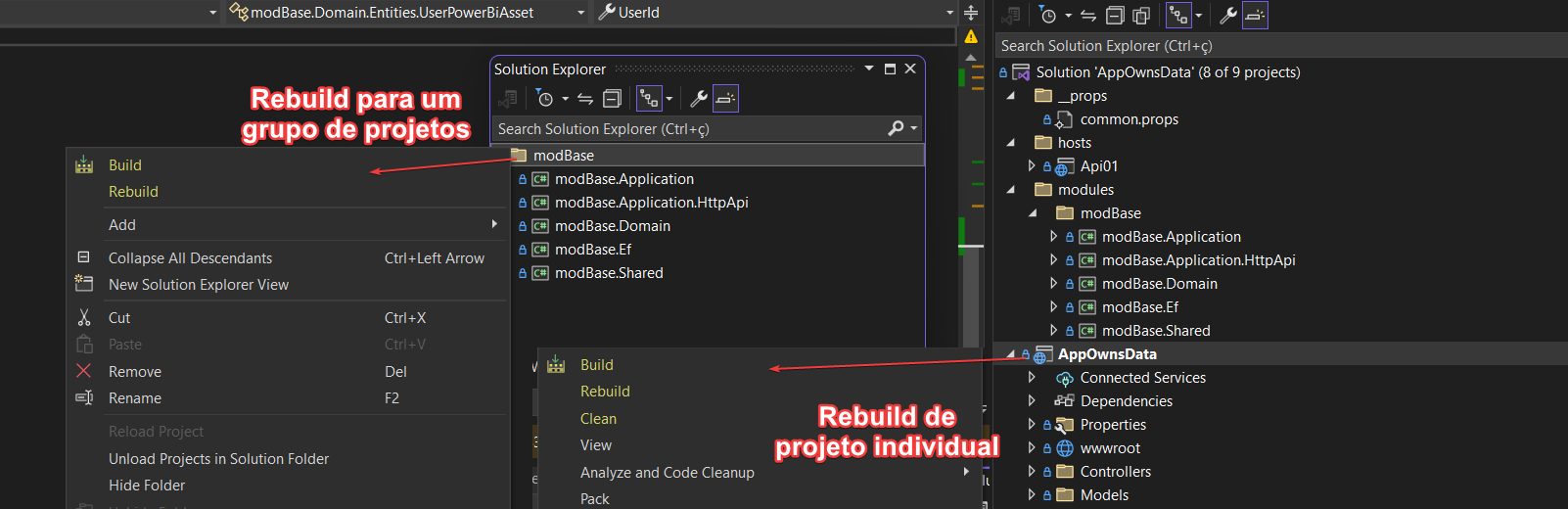 Build, Rebuild diretamente para projetos