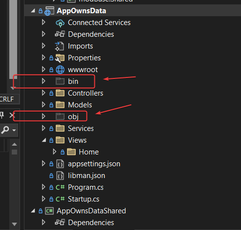 Diretórios bin e obj de um projeto