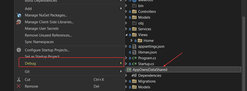 Tentativa de execução de um class library