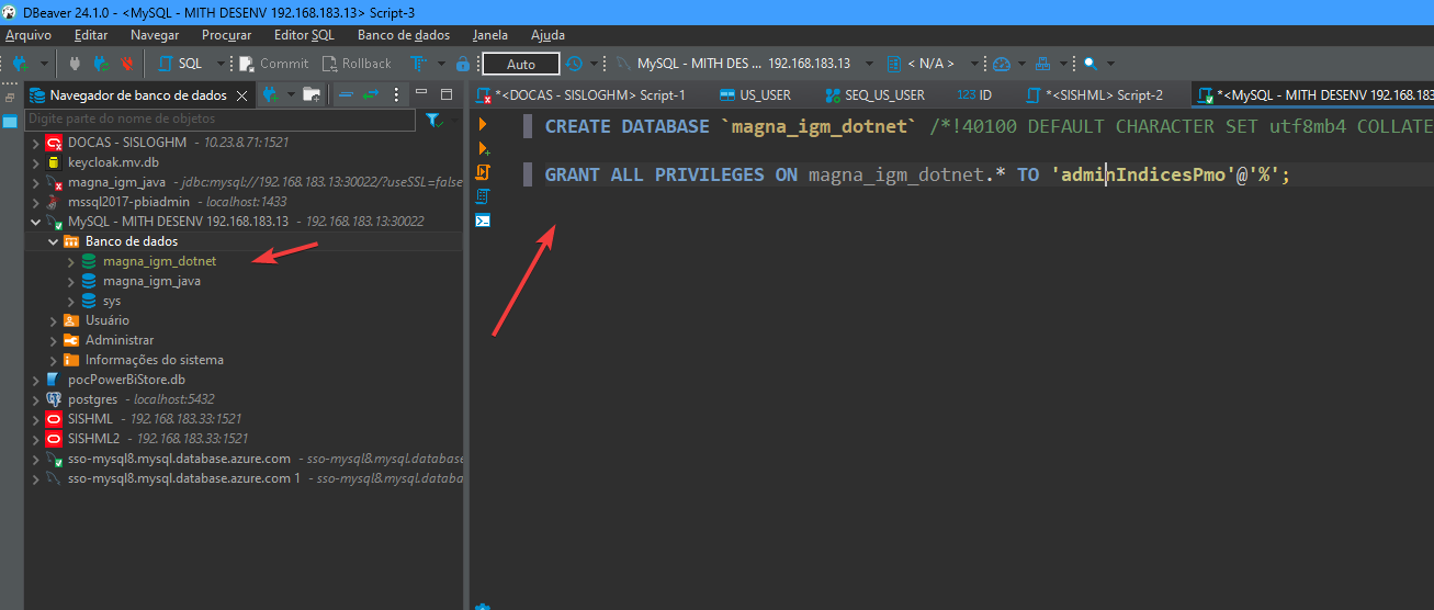Criação base de dados **magna_igm_dotnet**