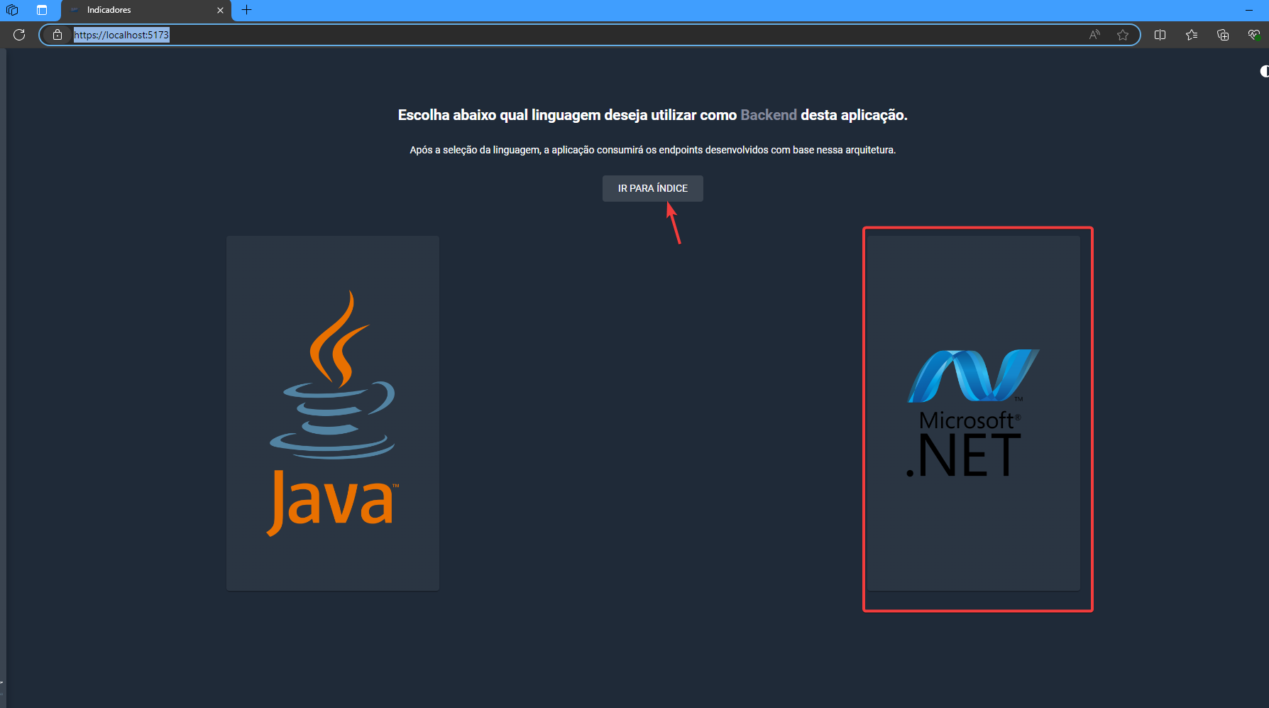 Seleção do backend .net